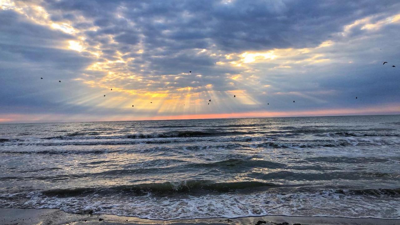 Lucky Star Studio Mamaia Nord Navodari Bagian luar foto